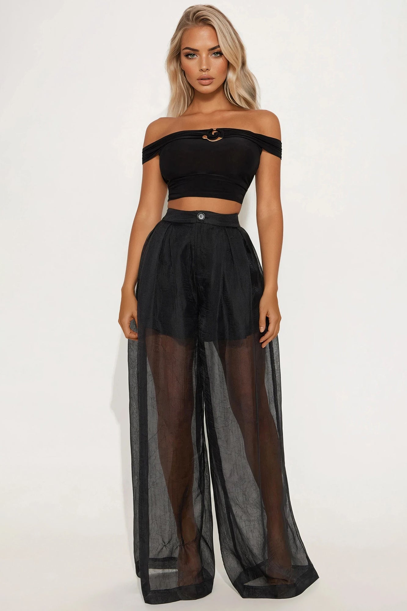 Hollie Wide Leg Organza Pant - Black