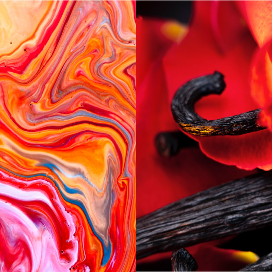 Hibiscus Mahajad Extrait