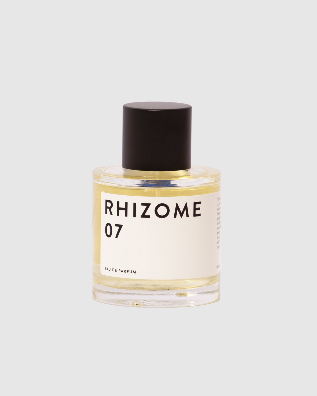Rhizome 07