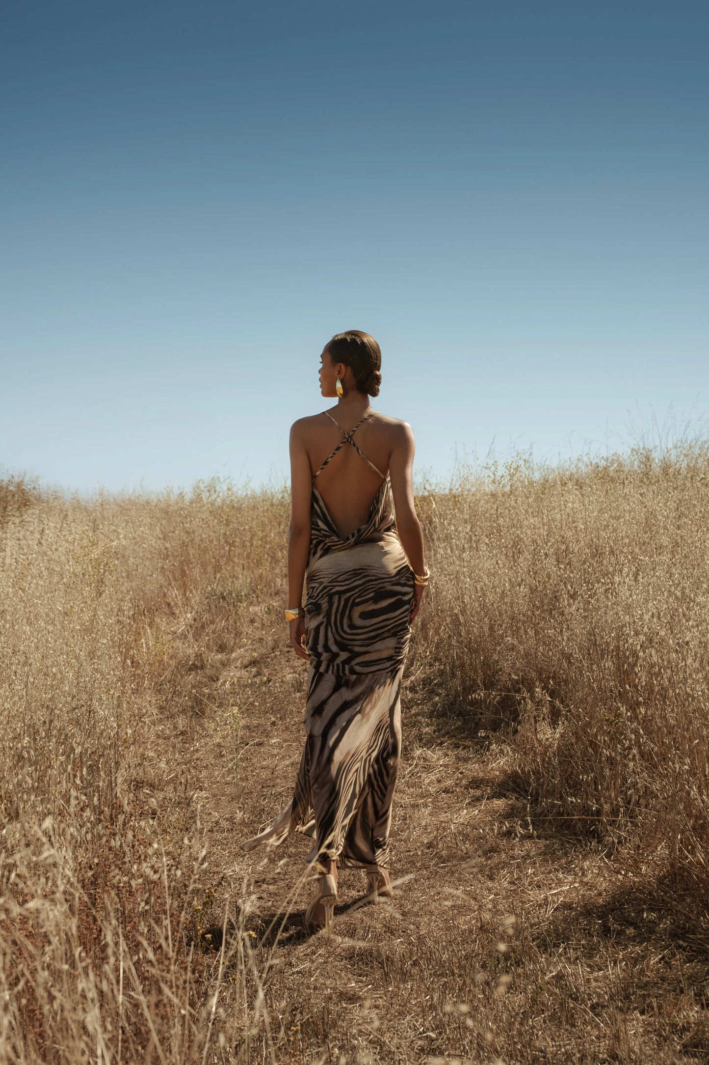 Brown Zebra Print Infinite Journey Maxi Dress